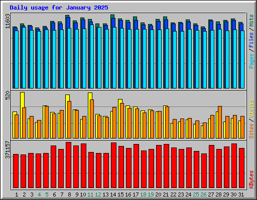 Daily usage for January 2025