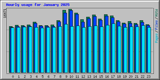 Hourly usage for January 2025
