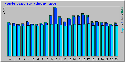 Hourly usage for February 2025