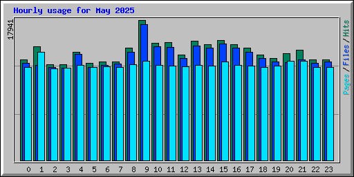 Hourly usage for May 2025