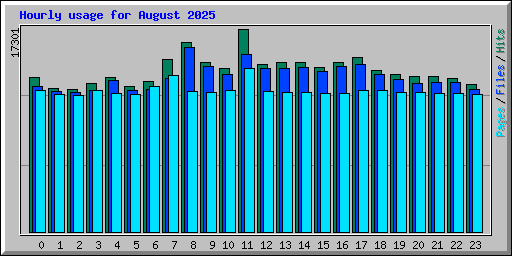 Hourly usage for August 2025