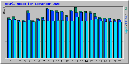 Hourly usage for September 2025
