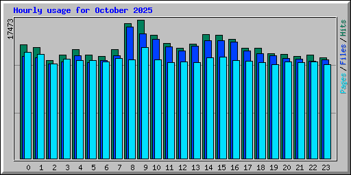Hourly usage for October 2025