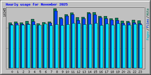 Hourly usage for November 2025