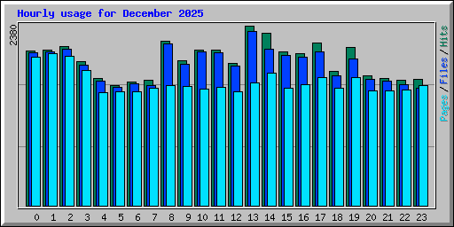 Hourly usage for December 2025