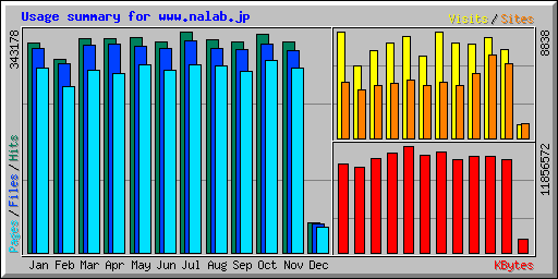 Usage summary for www.nalab.jp